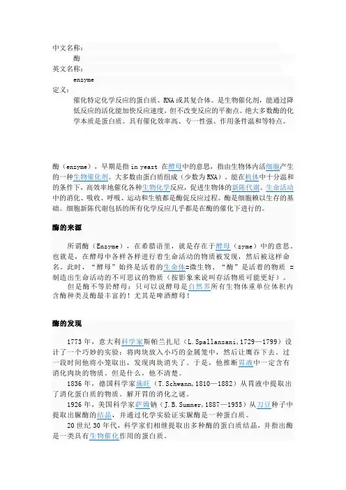 酶的概述