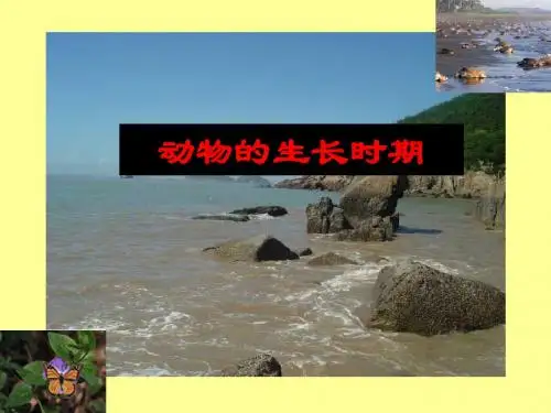 动物的生长时期