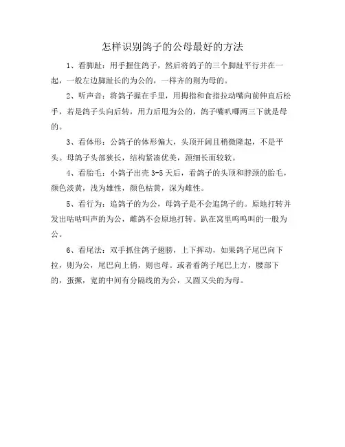 怎样识别鸽子的公母最好的方法