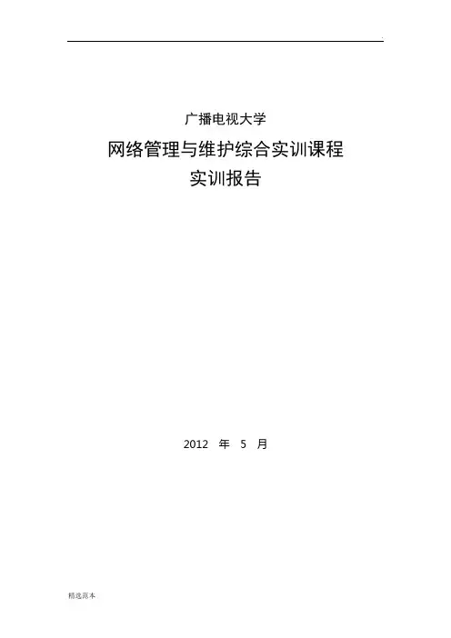 网络管理与维护综合实训报告