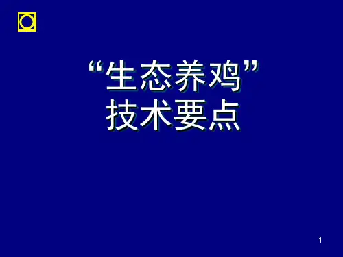 “生态养鸡”技术要点