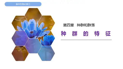 高中生物必修三种群的特征课件
