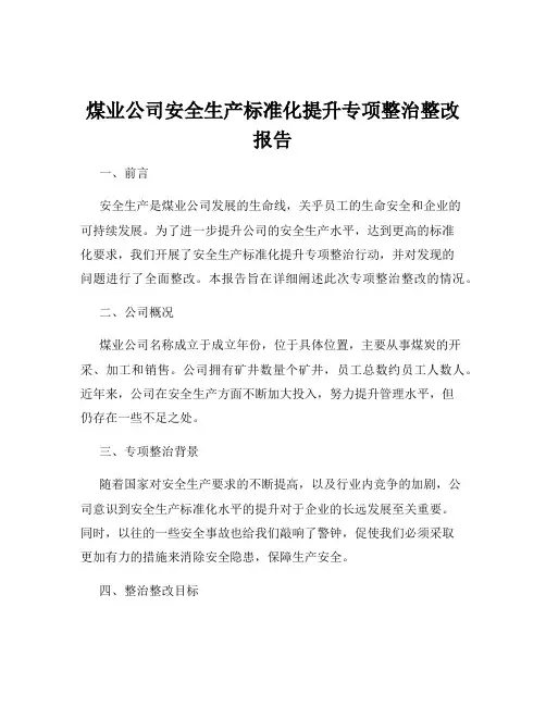 煤业公司安全生产标准化提升专项整治整改报告