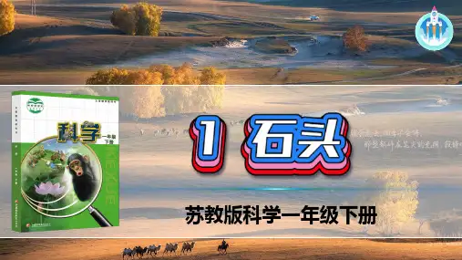 苏教版科学一年级下册 1 石头  课件(共32张PPT)