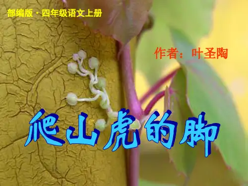2021年最新人教部编版四年级语文上册第10课《爬山虎的脚》ppt公开课课件(精品)