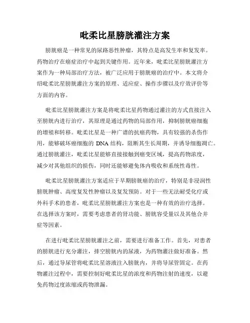吡柔比星膀胱灌注方案