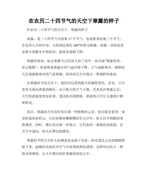 在农历二十四节气的天空下寒露的样子