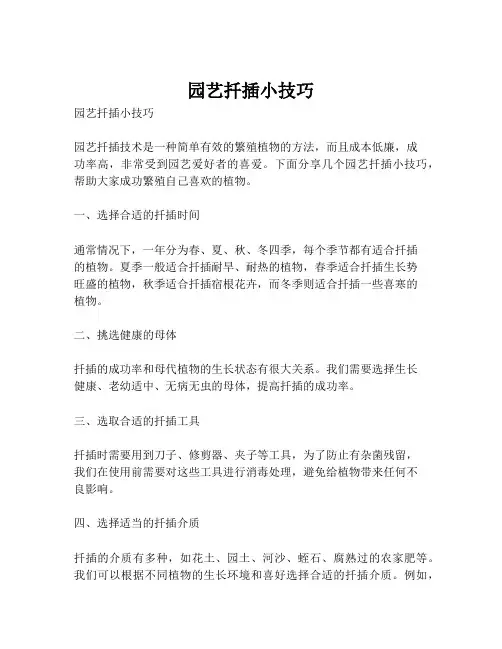 园艺扦插小技巧