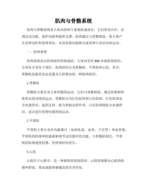 肌肉与骨骼系统