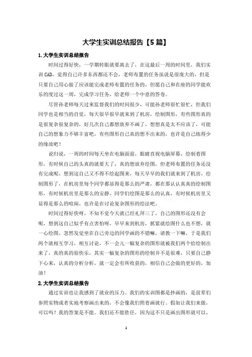 大学生实训总结报告【5篇】