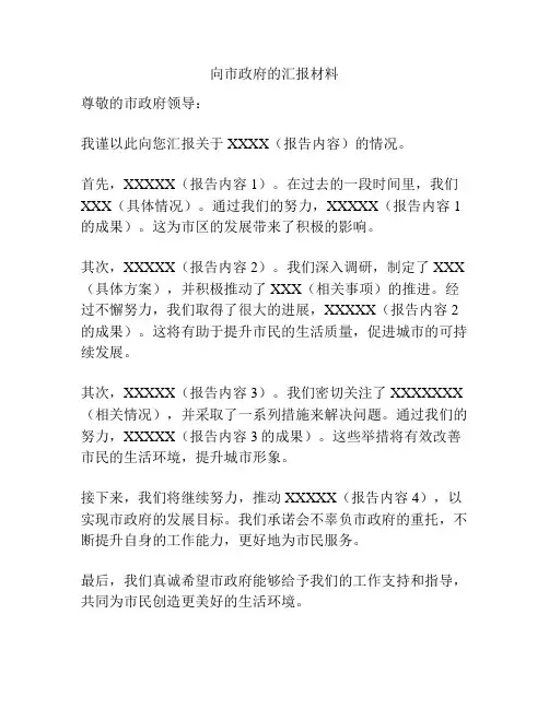 向市政府的汇报材料