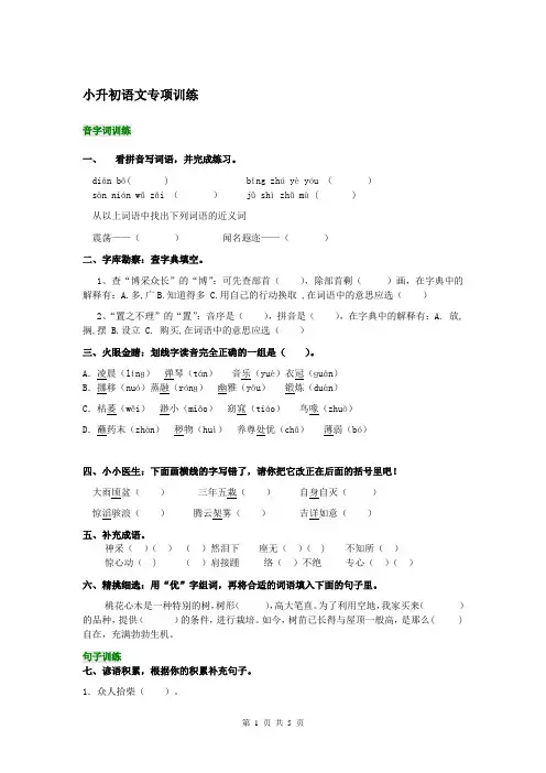 (完整版)小升初语文专项训练试题