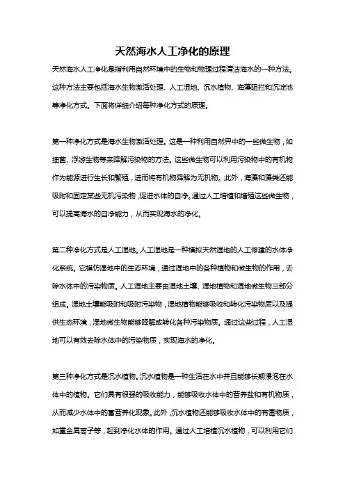 天然海水人工净化的原理