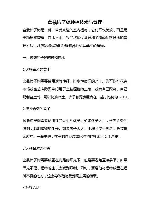 盆栽柿子树种植技术与管理