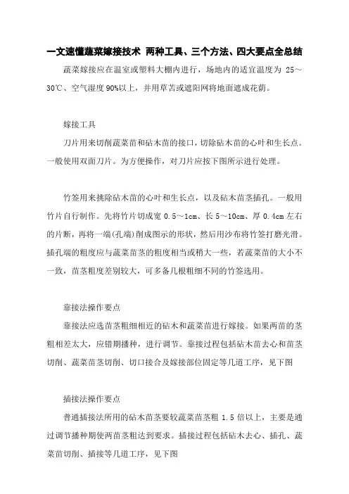 一文速懂蔬菜嫁接技术 两种工具、三个方法、四大要点全总结