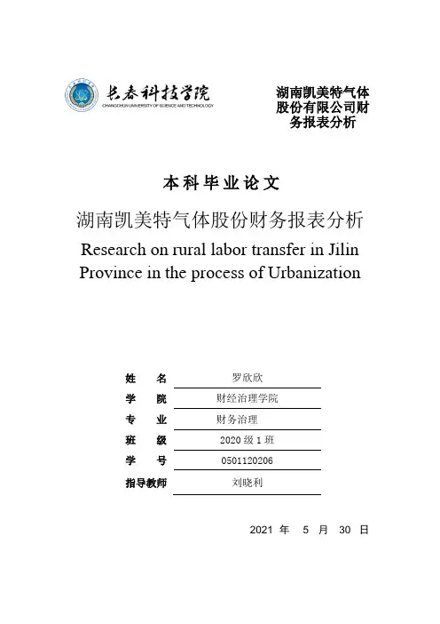 湖南凯美特气体股份有限公司财务报表分析