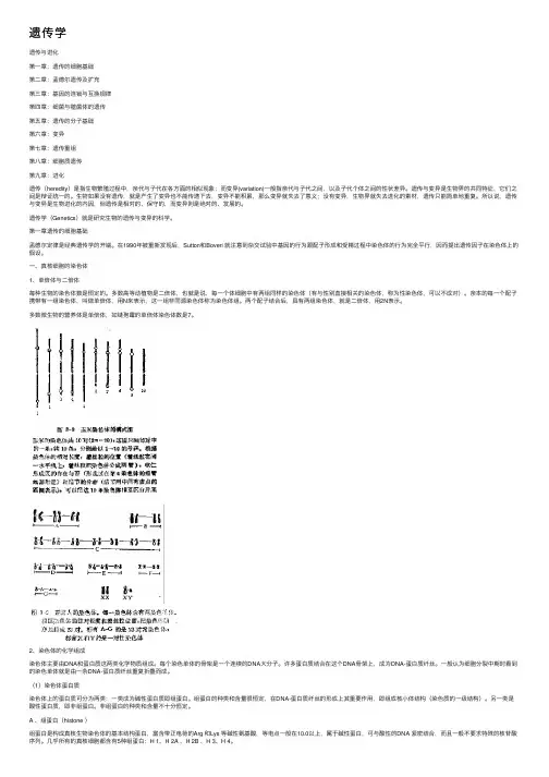 遗传学——精选推荐
