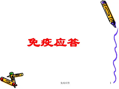 免疫应答ppt课件