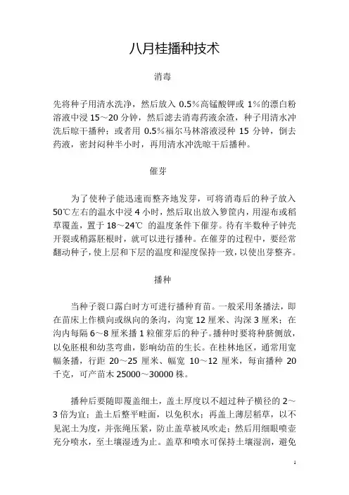 红豆杉种子的种植技术