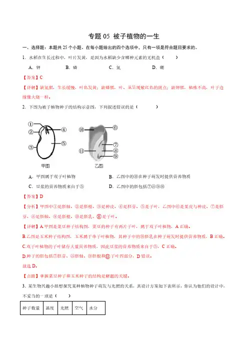 专题05 被子植物的一生(解析版)-2024年中考生物一轮复习热点专题精练