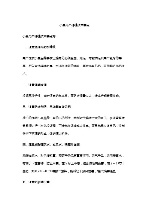 小麦高产种植技术要点