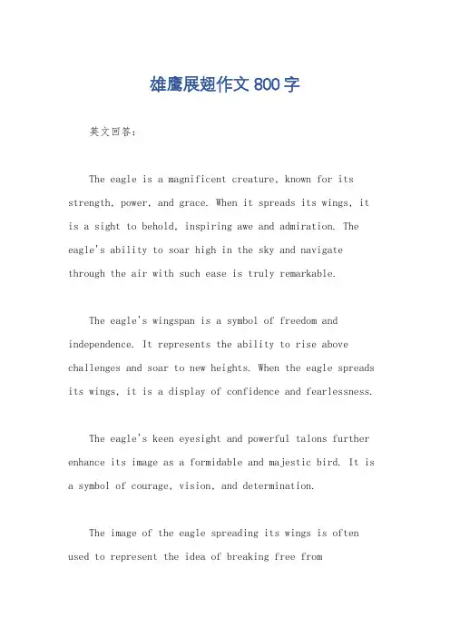 雄鹰展翅作文800字