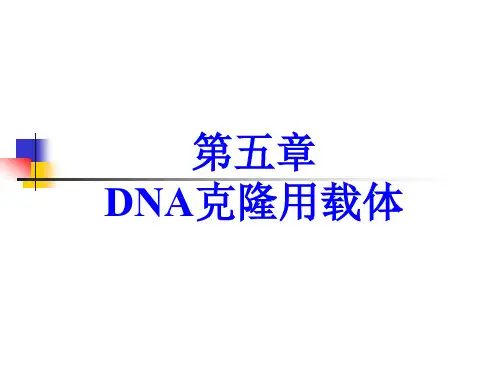 第五章DNA克隆用载体