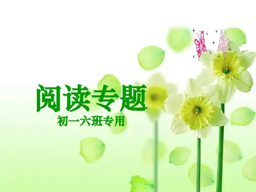 初中语文阅读专题ppt课件