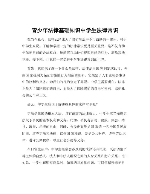 青少年法律基础知识中学生法律常识