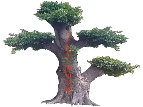八年级上册地理知识树
