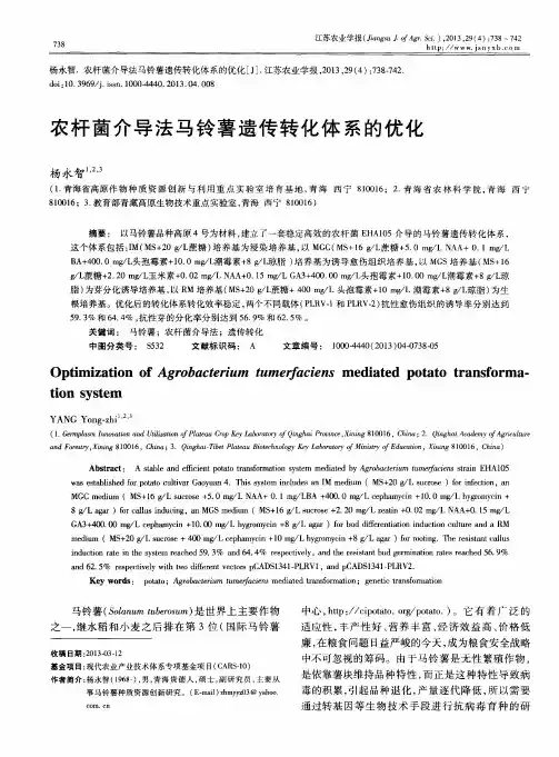 农杆菌介导法马铃薯遗传转化体系的优化