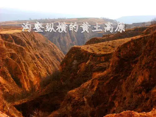 黄土高原