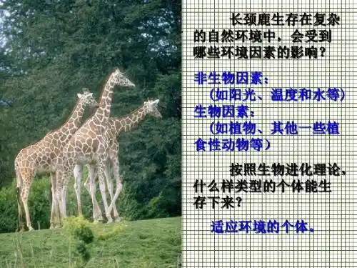 生物对环境的适应和影响课件5(41页)(人教版七年级)