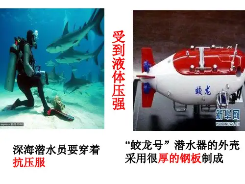 沪科版八年级全一册第八章第二节液体压强(共25张PPT)