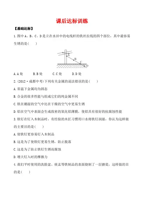 9.3钢铁的锈蚀与防护(