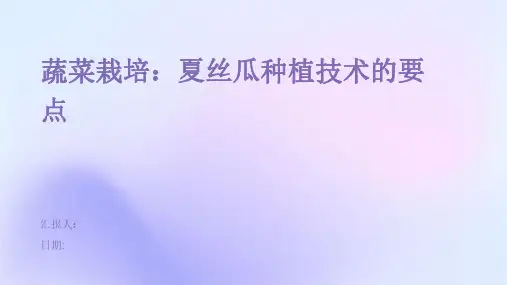 蔬菜栽培：夏丝瓜种植技术的要点