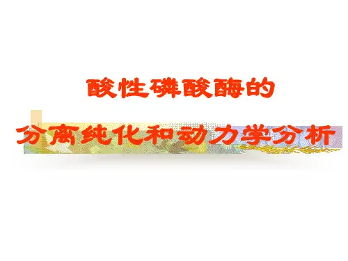 酸性磷酸酶的