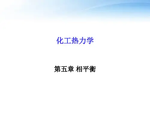 化工热力学第五章 相平衡  ppt课件