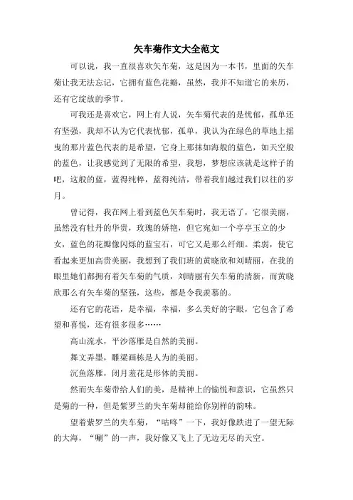 矢车菊作文大全范文