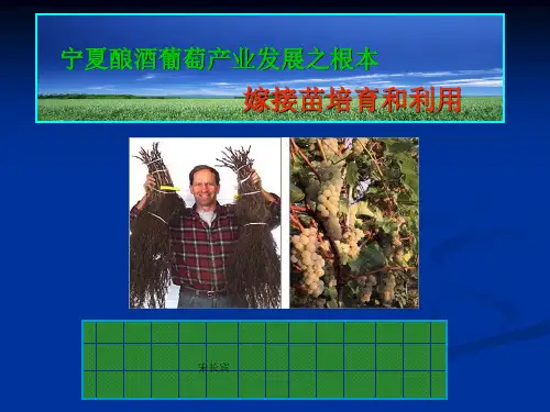 葡萄嫁接育苗技术PPT课件