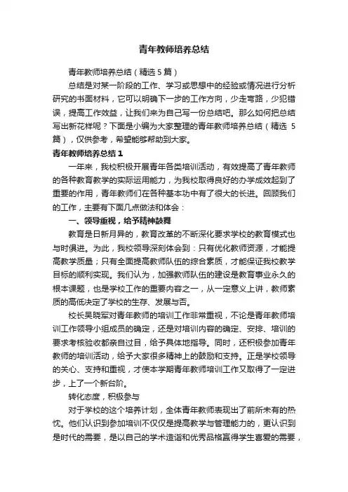 青年教师培养总结