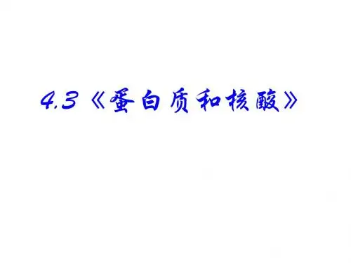 化学：4.3《蛋白质和核酸》课件(新人教版选修5)