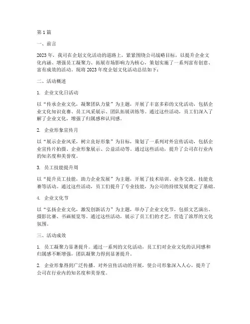企划文化活动年度总结(3篇)