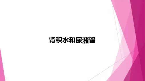 肾积水和尿潴留