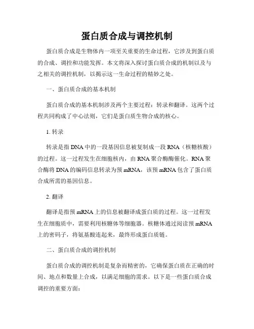 蛋白质合成与调控机制