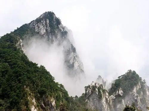 12庐山的云雾