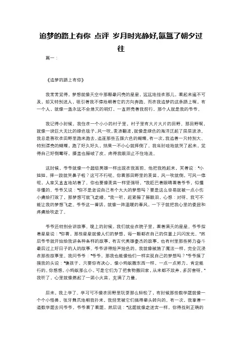 追梦的路上有你 点评 岁月时光静好,氤氲了朝夕过往