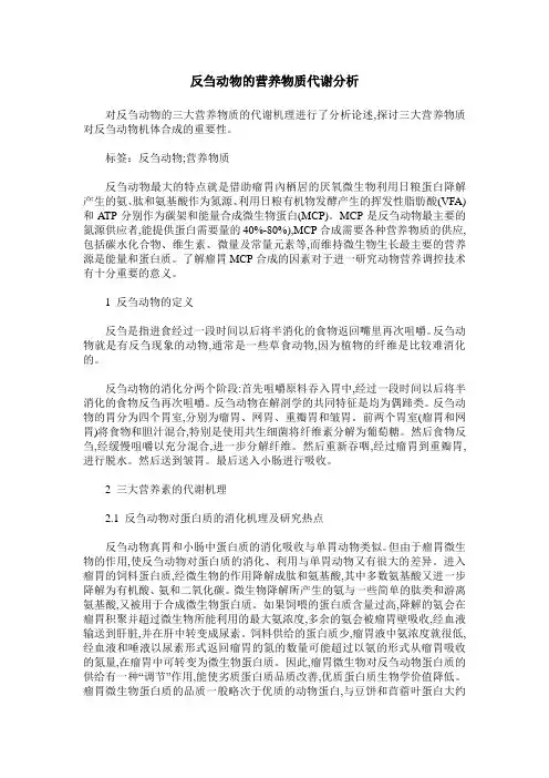 反刍动物的营养物质代谢分析