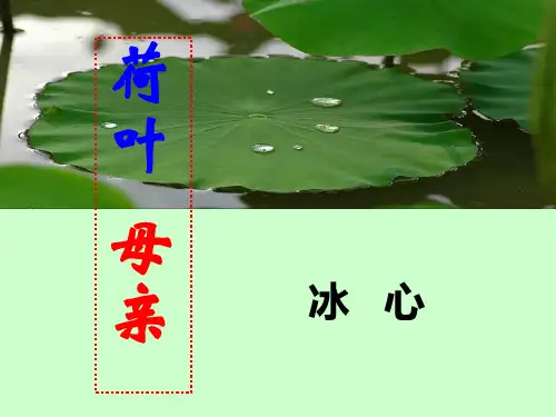 七年级语文上册第7课《散文诗二首——荷叶母亲》课件