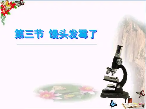 (精选)六年级科学上册馒头发霉了ppt课件1青岛版
